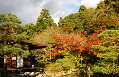 Kraj odmienny bardziej niż inne - Japonia