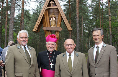 Kapliczka w lesie - Kalisz